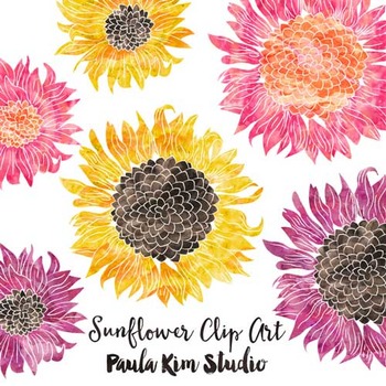 Paula Kim studio yellow pink purple watercolor sunflowers clip art