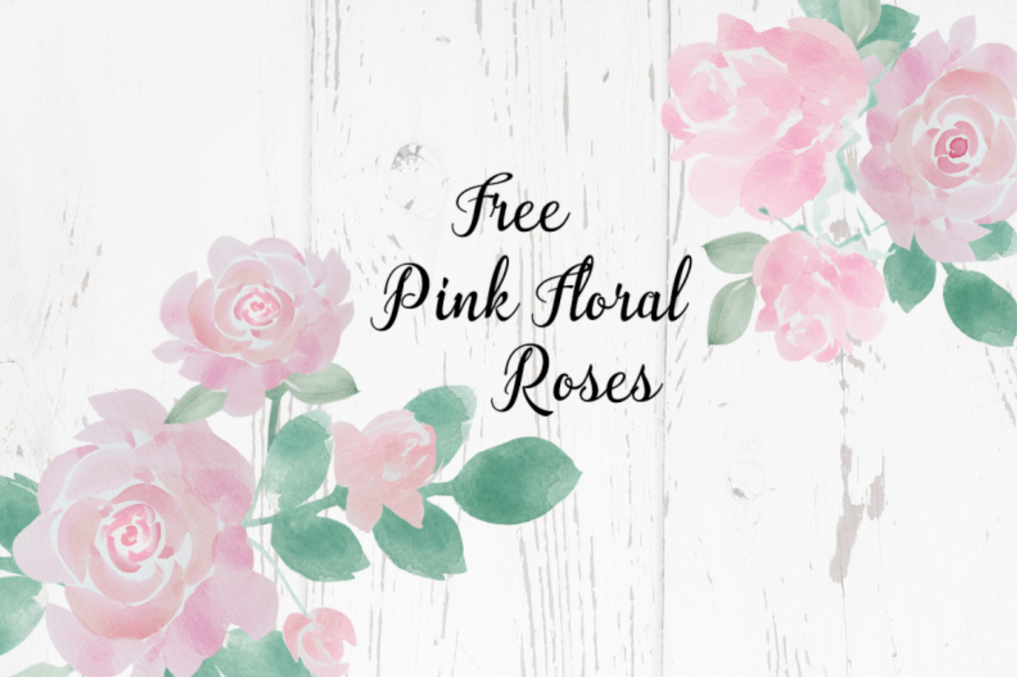 pink floral roses watercolor image clip art