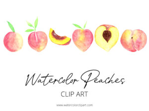 watercolor peaches clip art