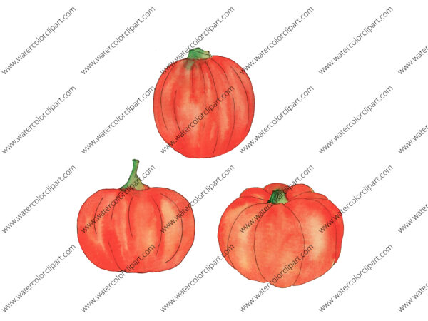 Watercolor Halloween Pumpkin Clip Art