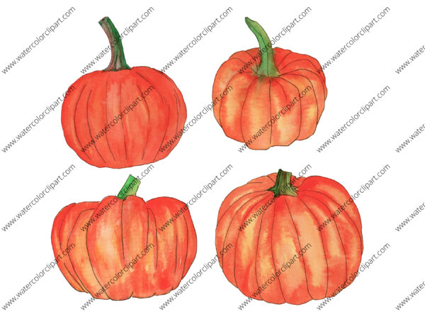 Watercolor Halloween Pumpkin Clip Art